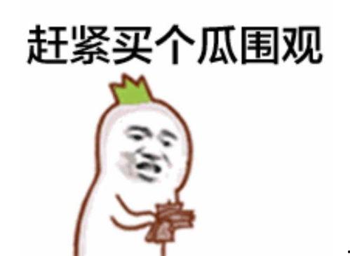 娱乐吃瓜群众上线视频,揭秘热门视频背后的故事