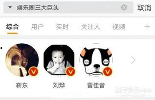 娱乐吃瓜君雷佳音,娱乐吃瓜界的“瓜王”