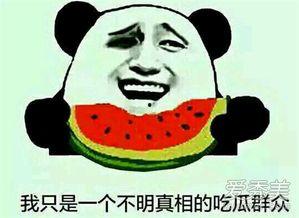 吃瓜群众看娱乐,吃瓜群众视角下的明星八卦