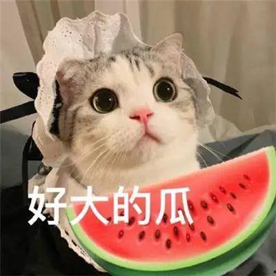 娱乐搞笑吃瓜群名字大全,揭秘娱乐搞笑吃瓜群名字大全