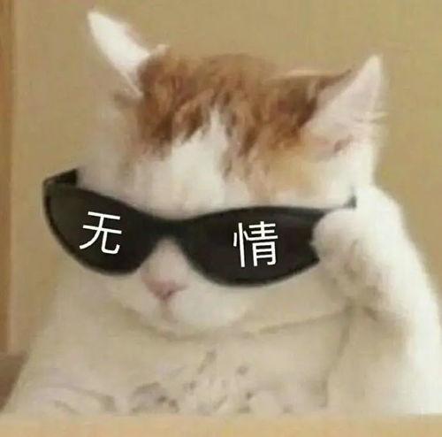 娱乐吃瓜酱沙雕搞笑,吃瓜酱带你笑翻全场