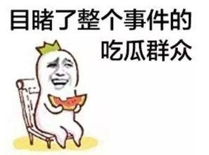 娱乐吃瓜酱图片搞笑,笑料横生的搞笑瞬间大盘点！