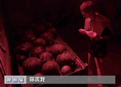 娱乐吃瓜密室逃脱小说,娱乐圈的神秘瓜田