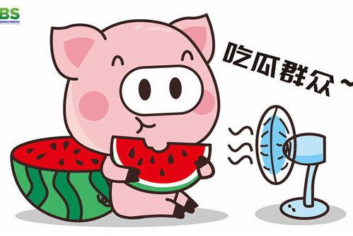 娱乐八卦吃瓜群众,揭秘明星幕后故事，吃瓜群众狂欢时刻