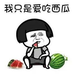 娱乐瓜吃鸡,揭秘“吃鸡”背后的热门话题与幕后故事