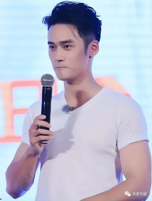 娱乐圈吃瓜男的,揭秘明星背后的故事与八卦