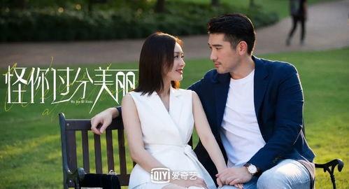 娱乐圈cp小说吃瓜文