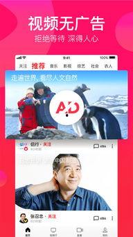 吃瓜娱乐疯子视频下载安装