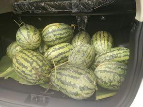 娱乐圈搬凳子吃瓜,搬凳子围观吃瓜大戏