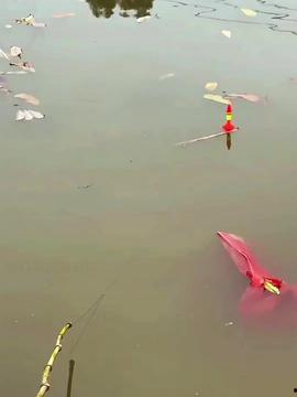 娱乐吃瓜钓鱼视频大全,全网热门娱乐吃瓜钓鱼视频大盘点