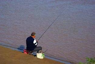 娱乐吃瓜钓鱼视频大全,全网热门娱乐吃瓜钓鱼视频大盘点